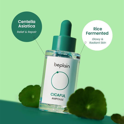 [Beplain] Cicaterol Ampoule 30ml