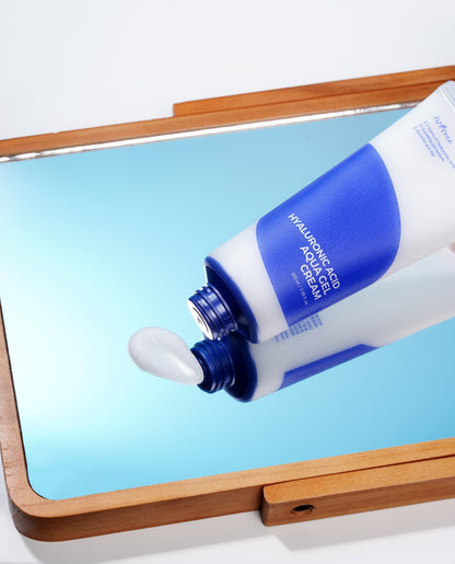 [Isntree] Hyaluronic Acid Aqua Gel Cream 100ml
