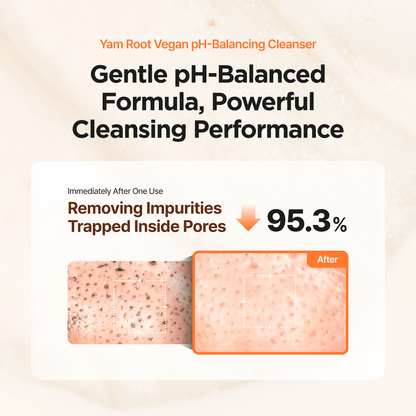 [Isntree] Yam Root Vegan pH-Balancing Cleanser 120ml